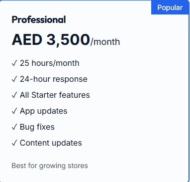 professional Shopify Maintenance Packages